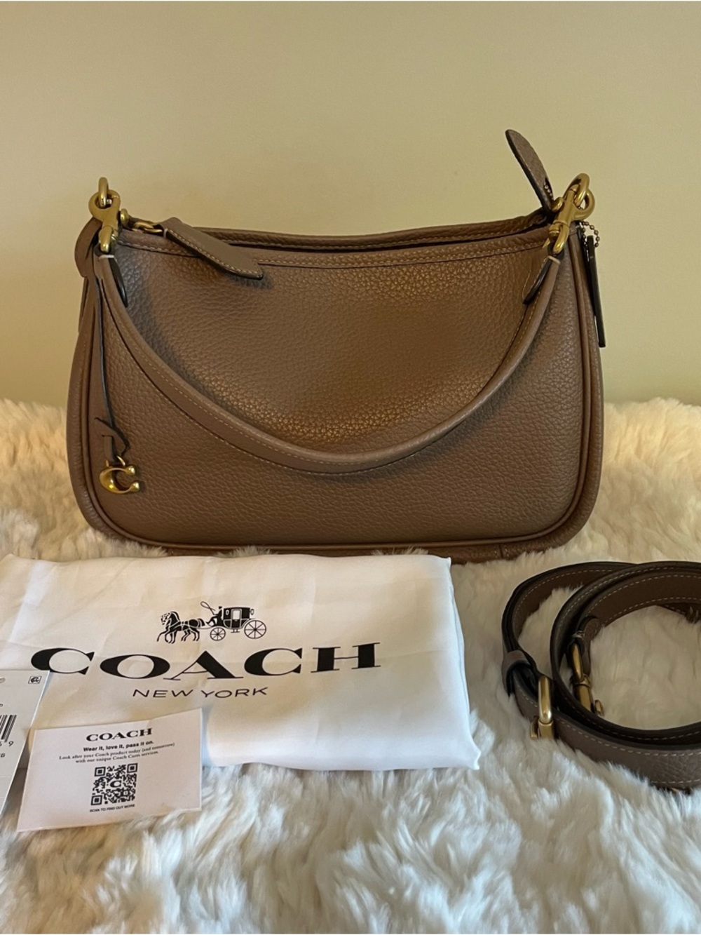 COACH Cary Crossbody Bag